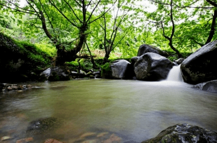 易景通景区票务系统和西溪大峡谷达成合作 易景通景区票务系统和西溪大峡谷达成合作